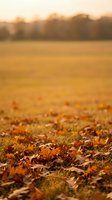 Autumn leaves scattered across golden field at sunset with warm light and blurred forest background creating peaceful seasonal landscape atmosphere.