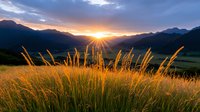 Golden wheat stalks backlit by dramatic mountain sunset, vibrant orange grass swaying in foreground against silhouetted peaks and dramatic cloudy sky. Nature landscape photography.