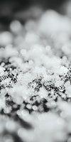 Delicate snowflakes and frost crystals create dreamy winter bokeh effect in black and white macro photography, with soft focus and ethereal light patterns.