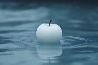 White frosted apple floating on calm blue water surface with ripples, covered in ice crystals, moody minimalist concept photography.