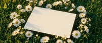Blank wooden sign surrounded by white daisies in green grass meadow for natural outdoor advertising and rustic marketing display concepts.