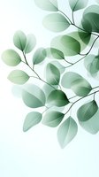 Delicate green leaves with translucent overlapping effect on light background create soft botanical composition for wellness, spa and natural product designs.