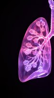 Transparent pink lung anatomy with bronchial tree structure on black background for medical education and healthcare presentations.