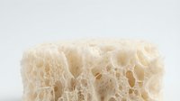 Natural sea sponge with porous texture isolated on white background for skincare and bath products design.