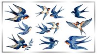 Watercolor blue swallows set, isolated on transparent background, ready for stickers, t-shirt design, print on demand, sublimation, and clipart use.