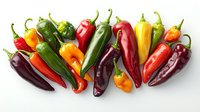 Fresh colorful chili peppers arranged in row including jalapeno, habanero, and sweet peppers on white background, isolated food photography for cooking projects.