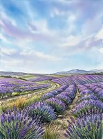 Expansive lavender field with rolling hills and winding rows stretching toward distant mountains under a soft, cloudy sky. Agricultural landscape suitable for travel, wellness, and nature designs.