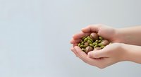 Hands holding handful of green pistachio nuts on white background, suitable for food, nutrition, healthy eating, and wellness marketing materials.
