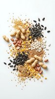 Mixed nuts seeds and grains scattered on white background including peanuts sunflower seeds corn kernels and legumes for healthy snacking and cooking.