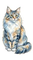 Long-haired tabby cat with blue and cream coloring, isolated on white background, ready for design projects, apparel, and clipart applications.