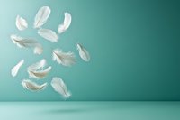 White feathers floating gracefully against turquoise background in minimalist setting, creating ethereal atmosphere for wellness, spirituality and lightness concepts.