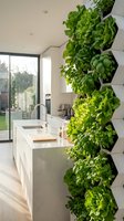 Modern kitchen interior with vertical herb garden wall featuring fresh basil lettuce and leafy greens in hexagonal planters for sustainable home cooking.