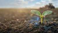 Young green plant seedling emerging from rich soil with digital technology overlay graphics representing smart agriculture and sustainable farming innovation.