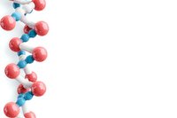 Molecular structure model with red and blue atoms connected in spiral formation on white background, isolated scientific illustration for medical and research designs.