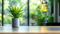 Green tropical plant in modern gray concrete pot on wooden table near window with natural sunlight and blurred garden background creating peaceful atmosphere.
