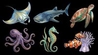 Colorful marine life collection featuring isolated sea creatures including manta ray, whale shark, sea turtle, octopus, seahorse, and clownfish on transparent background. Ready for clipart, t-shirt design, stickers, and print-on-demand projects.