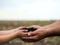 Hands of adult and child holding young seedling plant together over blurred agricultural field background, symbolizing growth, environmental care, and sustainable farming practices.