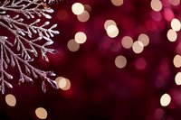 Frosted evergreen branch with warm golden bokeh lights on deep burgundy background creating festive holiday atmosphere for seasonal celebrations.