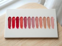 Lipstick color swatches palette showing gradient from deep red to nude pink tones on white canvas for makeup artist cosmetic color matching and selection.