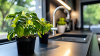Fresh basil plant in black pot on modern kitchen counter with sink and window view, soft natural lighting creates cozy home atmosphere.