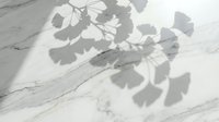 Ginkgo biloba leaves casting shadows on white marble surface with natural sunlight, suitable for minimalist design and wellness branding.