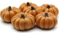 Fresh orange pumpkins arranged in group on white background, seasonal autumn harvest produce for Halloween and Thanksgiving decoration.