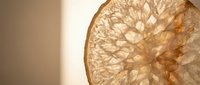 Dried orange slice with intricate translucent pattern against warm beige background for natural organic food photography and healthy lifestyle concepts.