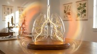 Glowing transparent lungs model with illuminated bronchial tree on wooden base in medical office or educational setting for healthcare presentations.