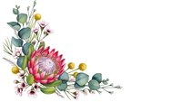 Watercolor floral corner arrangement with pink protea, eucalyptus leaves and wildflowers on white background for wedding invitations and greeting cards.