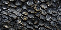 Charred and blackened wood texture showing detailed pattern of burnt tree bark with golden highlights, natural abstract background for design projects and nature concepts.