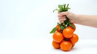 Hand holding fresh ripe tomatoes bunch with green leaves on white background. Organic vegetables harvest concept for healthy cooking and nutrition.