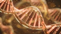 Glowing DNA double helix strands with golden particles floating in warm light, representing genetic research, biotechnology, and molecular science for medical and educational use.