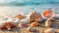 Colorful seashells and starfish scattered on sandy beach with turquoise ocean waves in soft sunlight creating peaceful coastal summer vacation atmosphere.