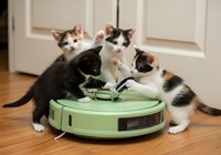 Four young domestic kittens with tabby and calico markings gathered around a green robotic vacuum cleaner on wooden flooring, curious and playful interaction with modern pet technology.