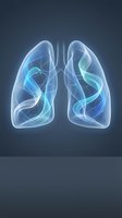 Glowing translucent lungs with blue and cyan airflow visualization on dark background, suitable for medical, healthcare, respiratory system, and scientific educational materials.
