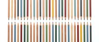 Colorful wooden pencils arranged in neat rows on white background, perfect for art supplies, education, creativity and design projects.