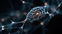 Glowing neuron cell with synaptic connections on dark background, illustrating neural network activity in brain science and artificial intelligence research.