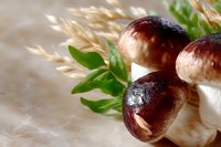 Fresh wild mushrooms with burgundy caps and white stems arranged with green leaves and dried wheat stalks on soft textured background. Macro food photography.