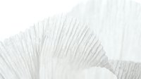 Delicate white feather with fine, detailed barbs creating soft texture and gentle curves against neutral background for design and artistic projects.