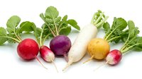 Colorful fresh radishes with green tops arranged on white background, showcasing red, purple, white, and yellow varieties for healthy eating.