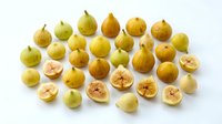 Fresh figs collection with whole and halved fruits showing pink flesh, isolated on white background for culinary and healthy eating designs.