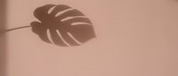 Tropical monstera leaf shadow cast on warm beige wall creating minimalist botanical silhouette for modern interior design and natural home decor.