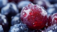 Fresh ripe cranberries and blueberries with water drops and frost crystals in macro view, showing natural texture and vibrant colors for food photography.