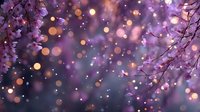 Purple cherry blossom branches with golden bokeh lights creating magical spring atmosphere for romantic designs and seasonal decorations.