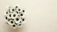 White anemone flowers with dark centers arranged in elegant bouquet on neutral beige background for wedding decor and floral design projects.
