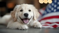 Happy Golden Retriever puppy lying on American flag background with patriotic bokeh lights, showing bright smile and friendly expression. Perfect for holiday cards.