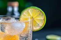 Refreshing sparkling water with lime slice garnish in glass, bubbles rising through clear carbonated beverage for summer drinks and cocktail preparation.