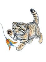 Playful tabby kitten with spotted coat pouncing on feather toy, isolated on white background for design and print applications.