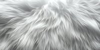 Luxurious white fur texture with long silky strands creating soft waves and shadows, suitable for fashion and interior design backgrounds.