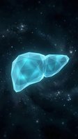 Futuristic holographic liver organ with polygonal wireframe structure floating in cosmic space background for medical technology concepts.
